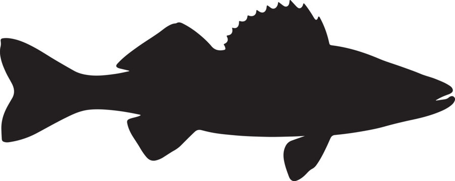 Walleye fish silhouette vector illustration for freshwater fishing and lake wildlife design element icon.