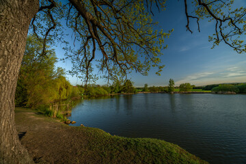 Obraz premium Pond and south Bohemia village near Trebin village