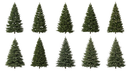 Obraz premium Ten isolated green christmas trees in two rows, featuring various pine and fir tree shapes with some decorated with tiny lights against a