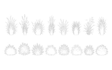 Obraz premium Set of Ornamental Grass Tufts and Low Shrubs Side Elevation Line Art Vector for Landscape Architectural and Garden Design