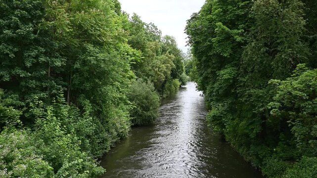 River in the forest