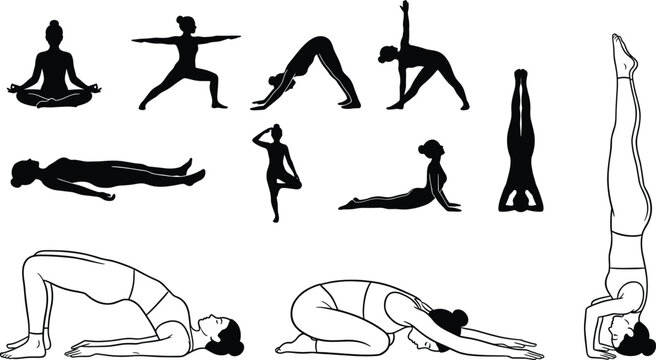 Yoga poses vector character set with woman practicing meditation stretching exercises silhouette and line art illustration