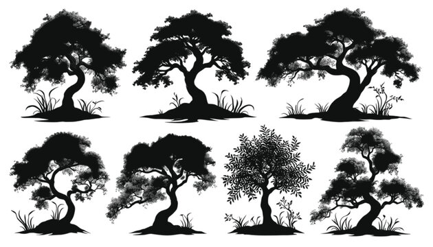 Bonsai trees stand as a collection of meticulously shaped miniature specimens captured in black silhouettes, representing the refined art of traditional horticulture and peaceful garden aesthetics.