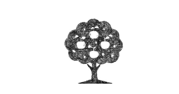 Sketch apple tree icon animation - smooth progressive reveal