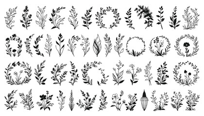 Fototapeta premium Botanical sketches collection showcases various hand drawn floral sprigs, leafy branches, and circular wreaths arranged in a structured grid pattern for versatile use in professional graphic design.