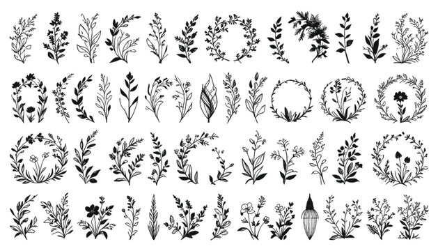 Botanical sketches collection showcases various hand drawn floral sprigs, leafy branches, and circular wreaths arranged in a structured grid pattern for versatile use in professional graphic design.