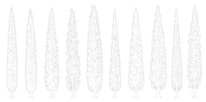 Set of 10 Columnar Narrow Upright Trees Side Elevation Outline Vector Illustrations for Landscape and Architectural Design
