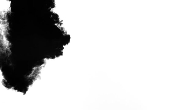 Video of intense black ink injected into clear water on a white background, swirling into dense, elegant smoke clouds perfect for backgrounds, transitions, text reveals, or luma matttes
