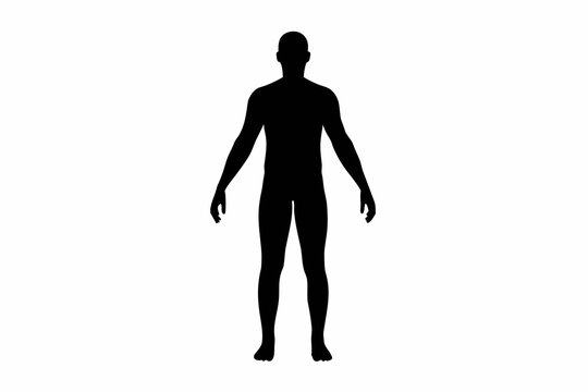 Human Body Silhouette On White Background Minimalist Black Shape