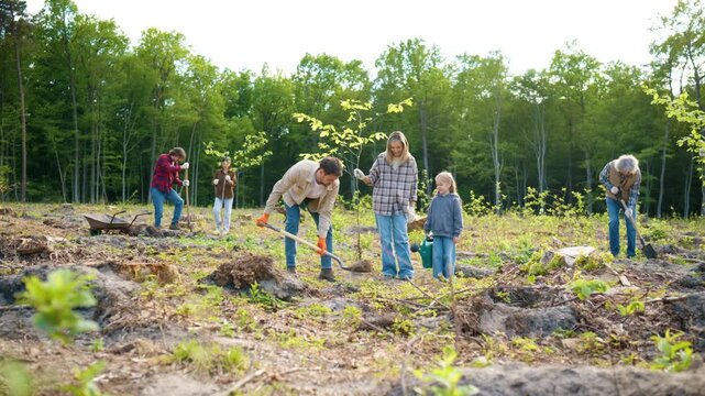 Caucasian family planting and watering young trees on deforested land. Parents and little daughter helping restore woodland together. Community volunteers supporting eco recovery. Reforestation.