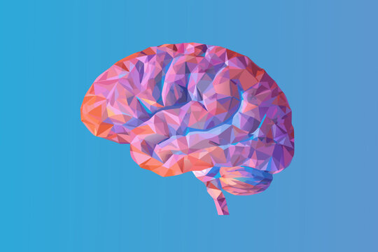 Low poly brain illustration with gradient colors against a blue background