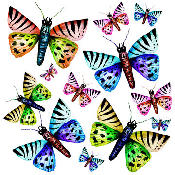 Hand drawn watercolor butterflies seamless pattern.Vibrant colorful butterfly elements design for wedding invitation, greeting card, wallpaper, fabric and wrapping paper. Abstract summer wildlife back