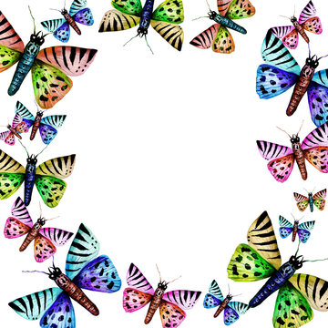 Hand drawn watercolor butterflies composition. vVibrant colorful butterfly elements design for wedding invitation, greeting card, wallpaper, fabric and wrapping paper. Abstract summer wildlife backgro