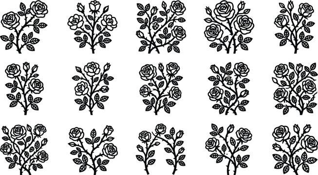 Set of black and white rose bush illustrations for design.