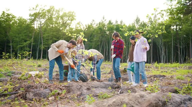 Eco teamwork in action. Diverse volunteers planting young trees and caring for saplings. Men women and child supporting eco conservation together. Forest restoration project promoting sustain.