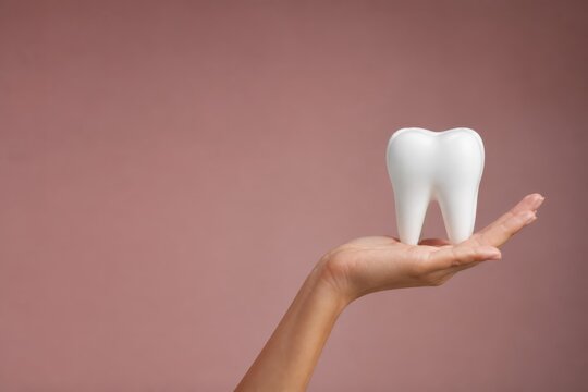 Hand holding white tooth model on pink background with clean dental care concept and copy space