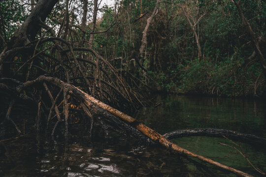 Ca&ntilde;o frio playa rincon samana republica dominicana