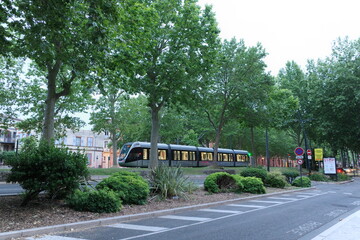 Fototapeta premium tram passing through tree lined street in Toulouse urban transport