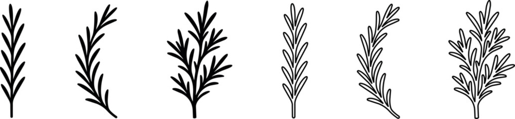Obraz premium Black and white rosemary sprigs line art illustrations set