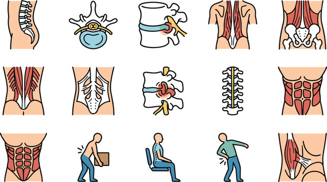 Set of medical icons depicting human spine anatomy and back pain conditions.