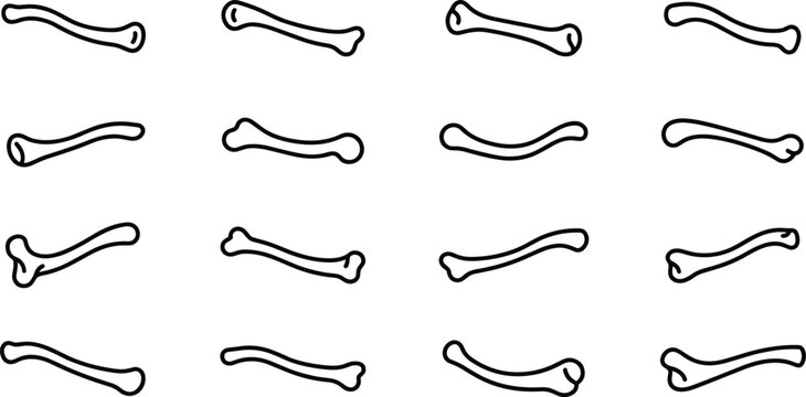 Set of hand drawn clavicle bone illustrations for anatomy education.