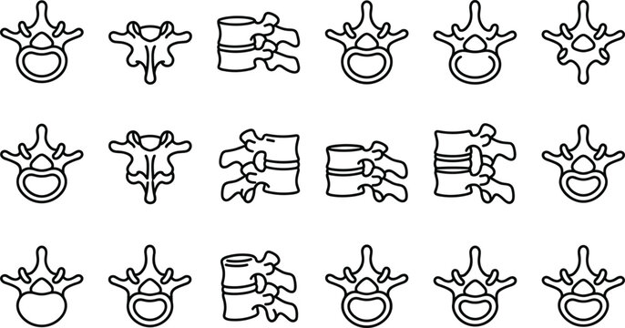 Set of human spine vertebra bone anatomical outline icons.