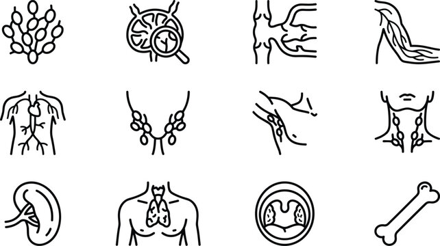 Set of human lymphatic system line icons representing anatomy and medical diagnostics.