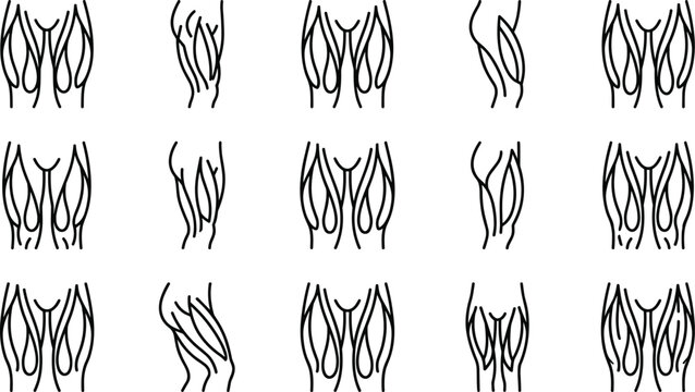 Set of human leg muscle anatomy line art icons.