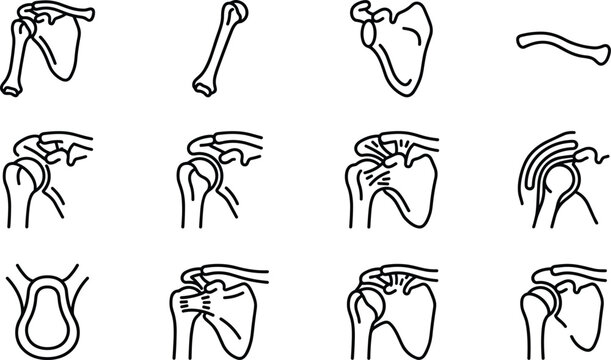 Set of medical line icons depicting shoulder joint anatomy and shoulder pathology.
