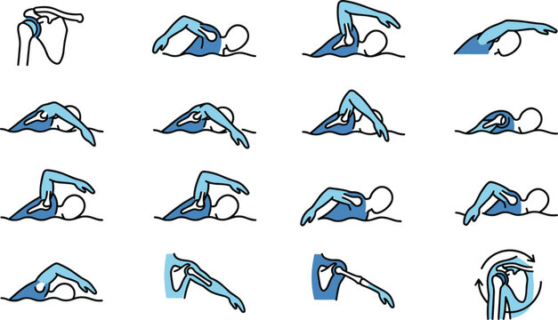 Anatomical illustration showing the phases of a freestyle swimming stroke and shoulder mechanics.
