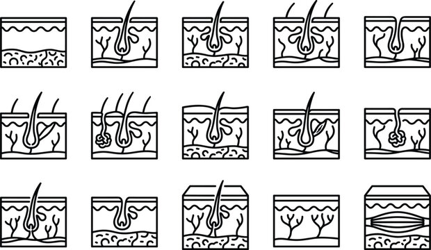 Set of human skin anatomy icons illustrating hair follicles and dermis layers.