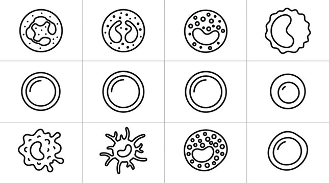 Set of human blood cell icons in thin line sketch style.
