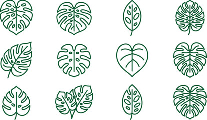 Set of hand drawn monstera leaf icons for tropical plant design. © jenci
