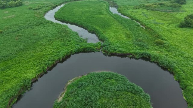 Oxbow Lake Confluence &ndash; Low Forward Tilt Down Aerial Flight Over Two Waters