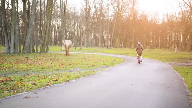 Teen girl rides bicycle through park