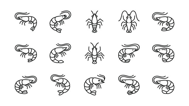 Set of simple outline icons of shrimp and prawns.