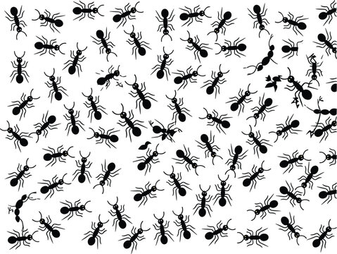 Seamless Ant Pattern with Crawling Insects Silhouettes, Pest Infestation Background Texture for Textile, Wallpaper and Nature Design