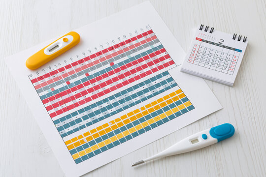 Health Monitoring and Data Management Tools: Digital Temperature Tracker for Family Wellness and Medical Planning