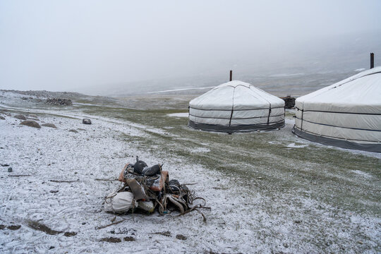 Traditional Camel Pack Saddle and Nomadic Gear Left in Snow Outside Yurts in Mongolian Altai Highland Camp