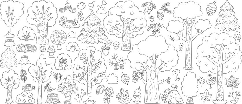Big black and white vector forest trees and plants set. Cartoon line woodland flora collection. Natural parkland coloring page with birch, pine, fir tree, acorn, mushrooms, cones