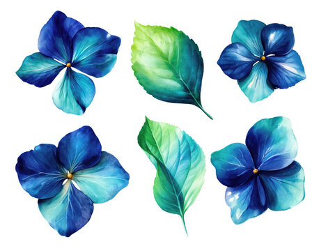Vibrant watercolor floral set featuring rich blue blossoms and fresh green leaves, with elegant botanical details, vivid colors, and isolated decorative elements.