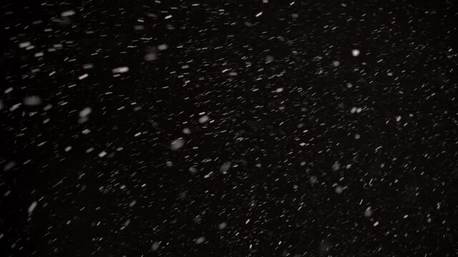 Watch as a true snowstorm unfolds in a dark, enchanting night, with each flake swirling down to create a magical winter ambiance