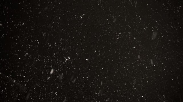 White snowflakes swirl gracefully against a pitch-black sky, revealing the beauty of a true snowstorm. The enchanting scene evokes a tranquil winter atmosphere