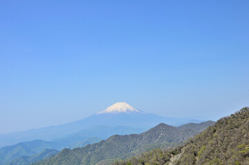 Obraz premium 丹沢山地の丹沢山より新緑の山地と富士山と青空 