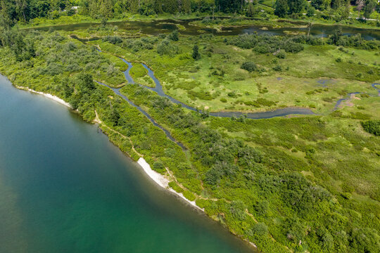 Aerial View of Wetland River Channels and Shoreline at Mission, BC, Canada in Summer