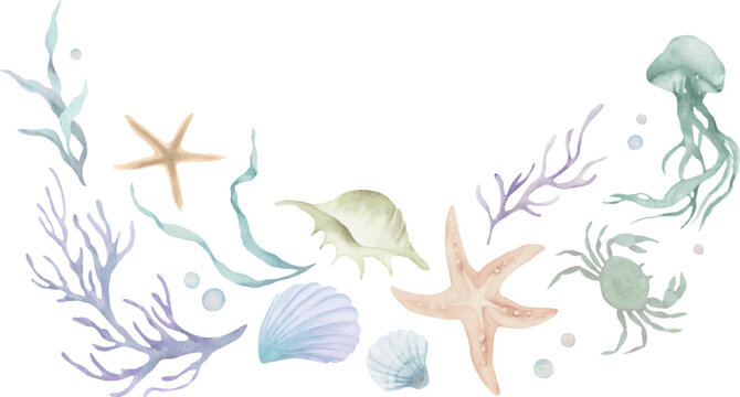 Watercolor marine life arch composition, ocean reef border vignette with jellyfish, crab, seashells, starfish and coral summer clipart design. Vector EPS.