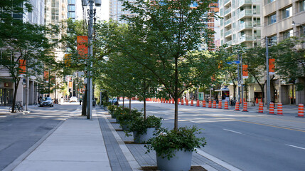 Fototapeta premium Urban City Landscape with Street Trees and Colorful Banners: City Planning and Architecture Photography for a Bicycle and Pedestrian Friendly Downtown
