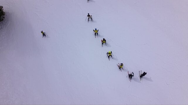 Top-down aerial view of a group of skiers descending a snowy slope in single file, likely during a ski lesson or guided training session, creating a strong minimalist pattern against the white snow.