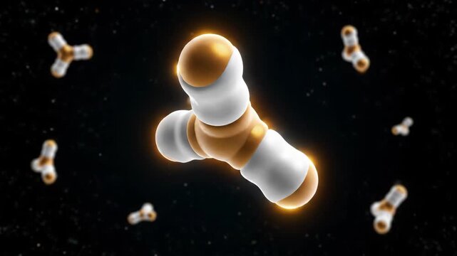 3D Antibody Molecule Rotation: Medical Visualization