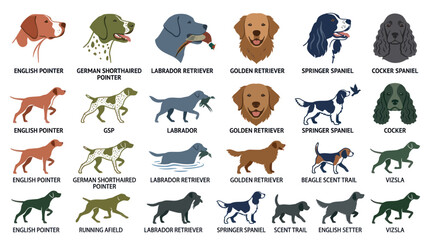 Fototapeta premium Dog Breeds Collection: Diverse Canine Companions Illustration